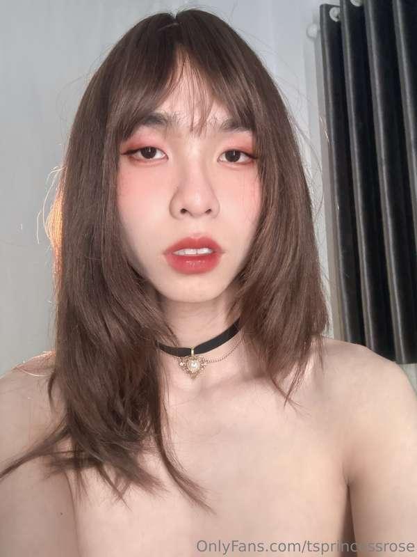 tsprincessrose image #0