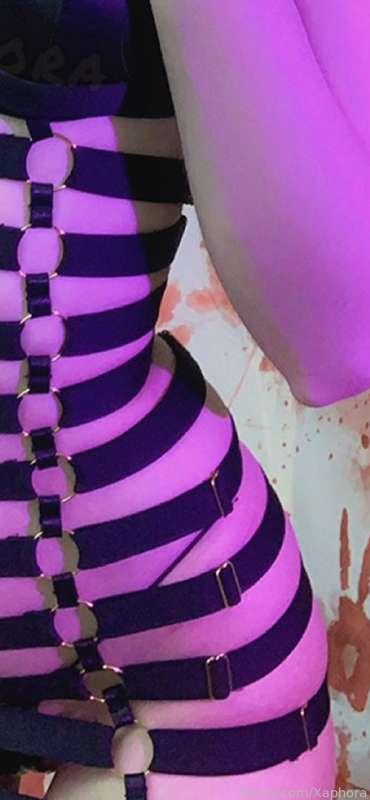 xaphora image #0