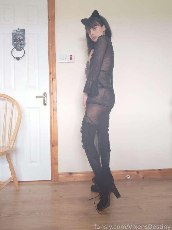 vixensdestiny image #2
