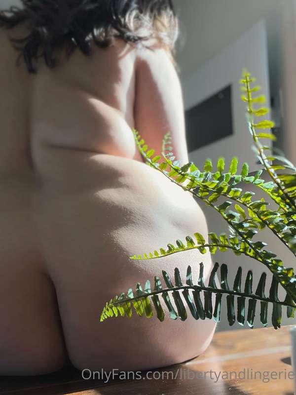libertyandlingerie image #0