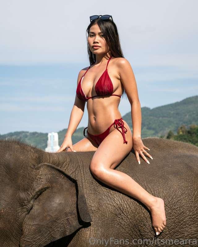 i can ride more than elephants 😉