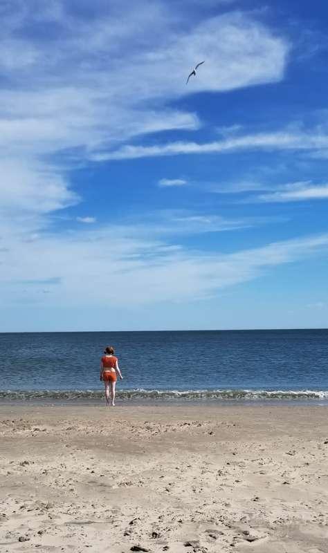 Coney Island Dreaming