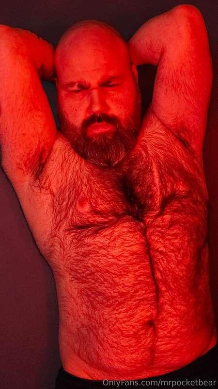 The passion of a bear 🐻 all pretty in red