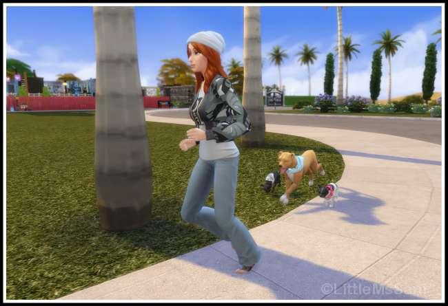 Advanced Heel Command (Cats & Dogs)