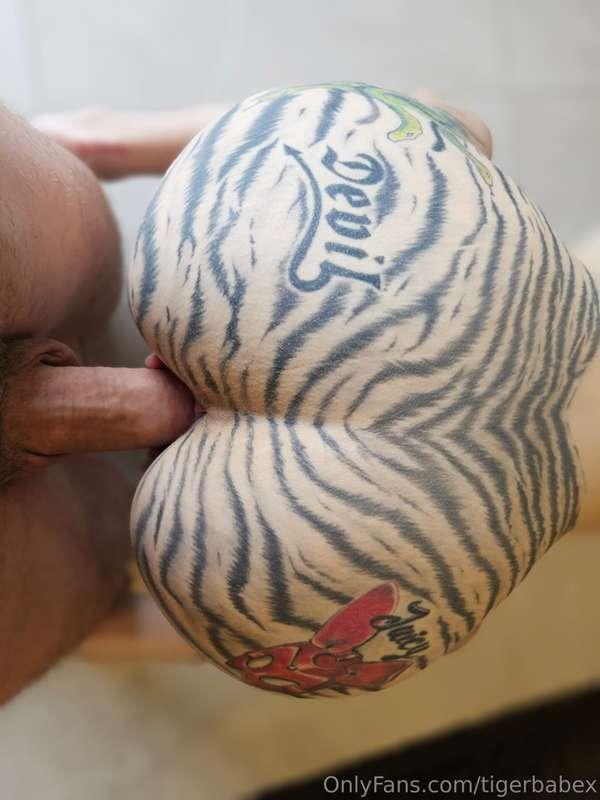 tigerbabex image #2