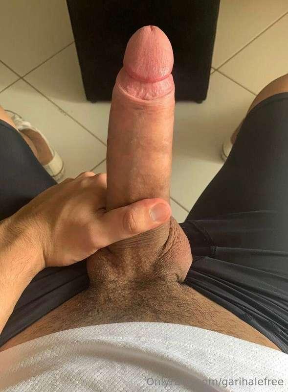 garihalefree image #4