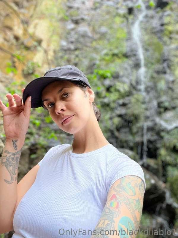 🌳🌿🌱✨