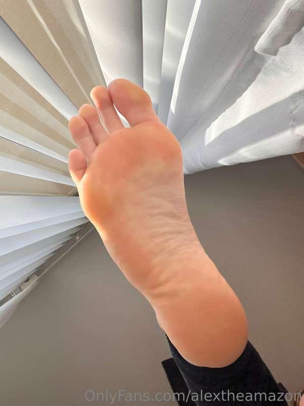 alextheamazon image #1