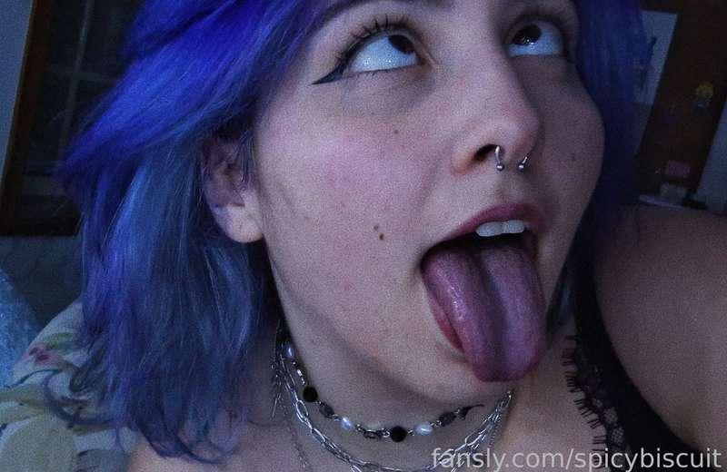 spicybiscuit image #1