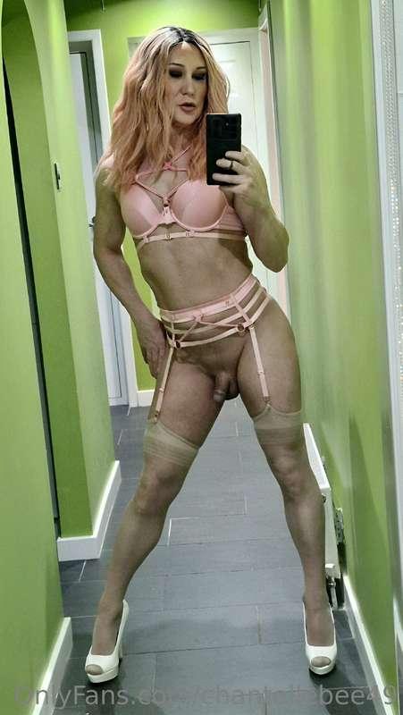 chantellebee49 image #1