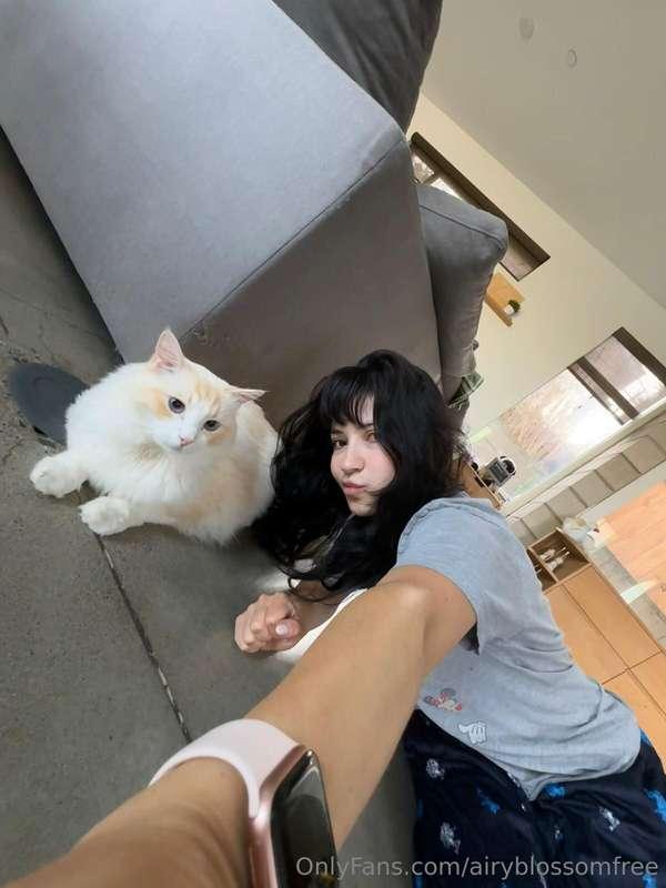 Miso has been in emergency and the vet, doing tests all week..