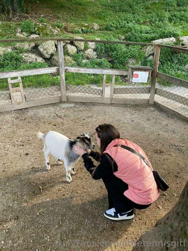 Do you think I'm as cute as the little goat?