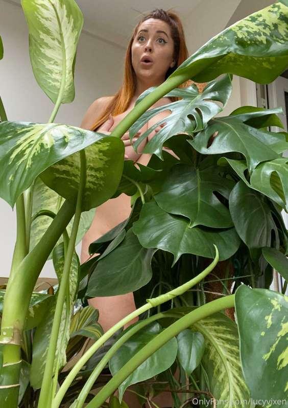 lucyvixen image #2
