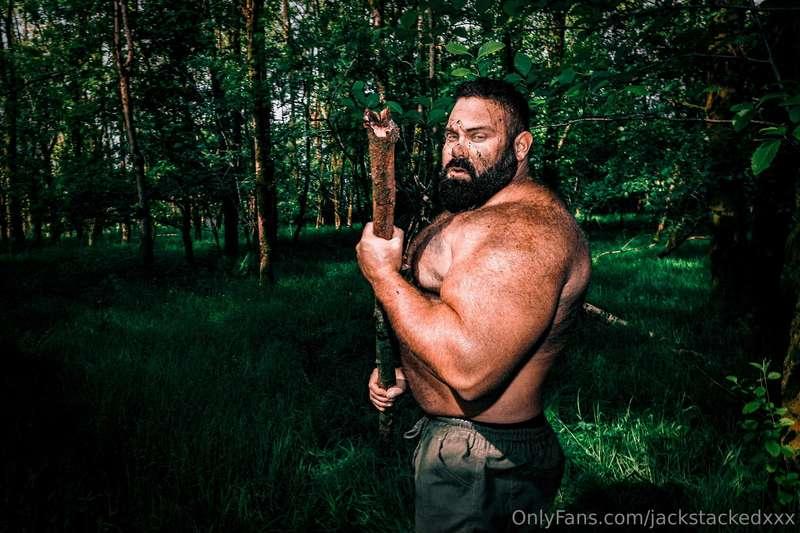 Bear in the woods