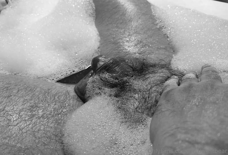 m1dwestbear image #2