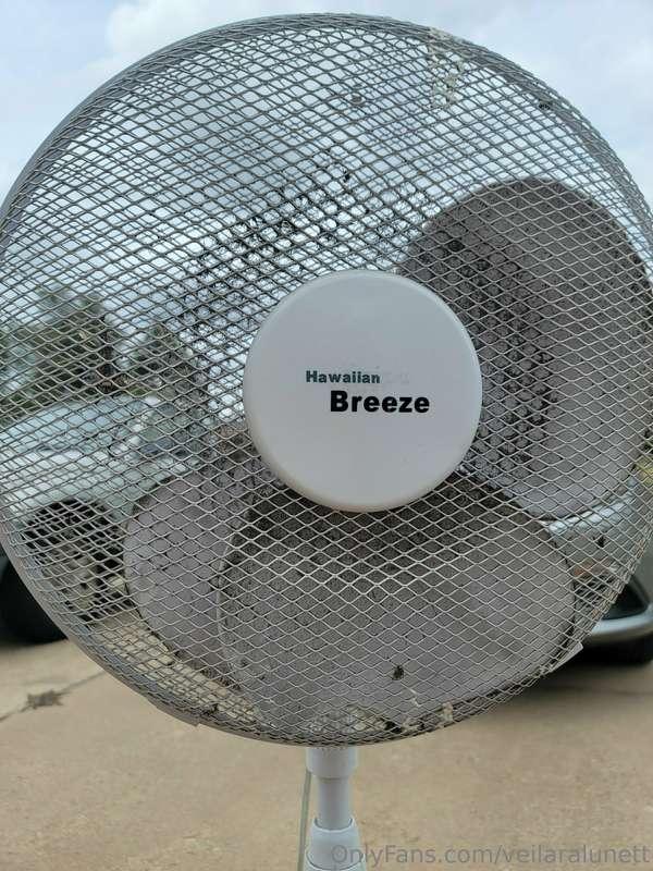 Man if it's not one thing it's another. XDD My shop fan trie..