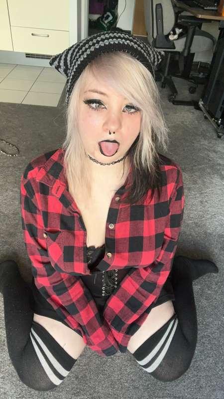 littlescarefox image #5