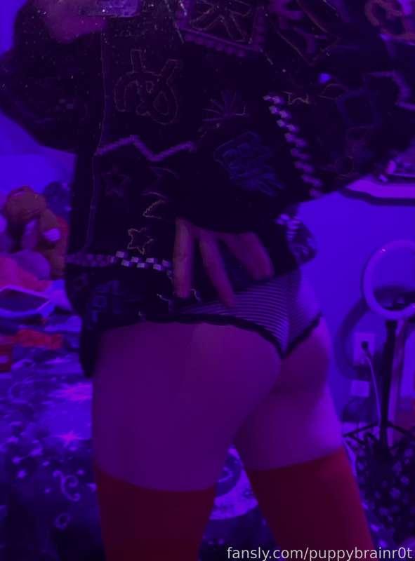 puppybrainr0t image #3