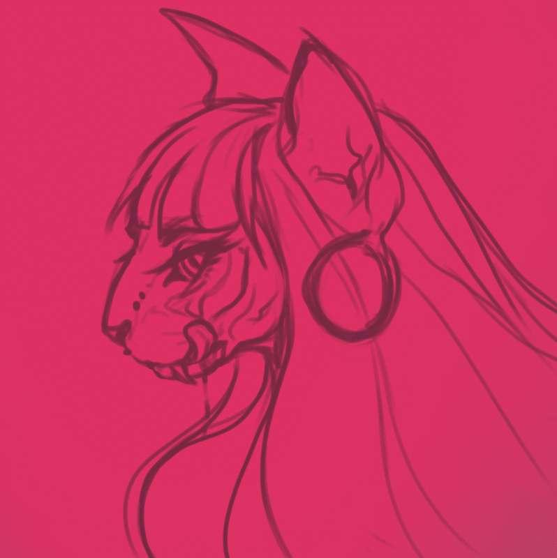 Headshot sketch (GIF)