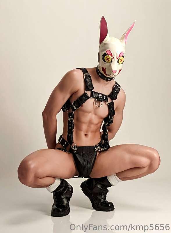 HBD to Me 🐰🐰🐰