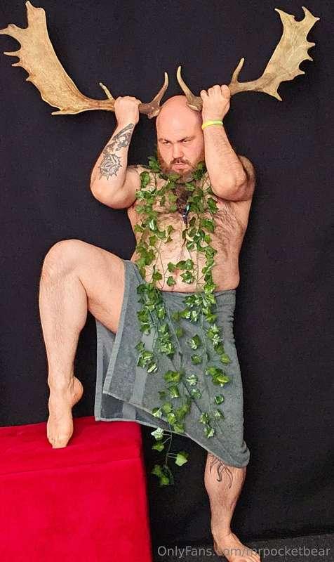 mrpocketbear image #0