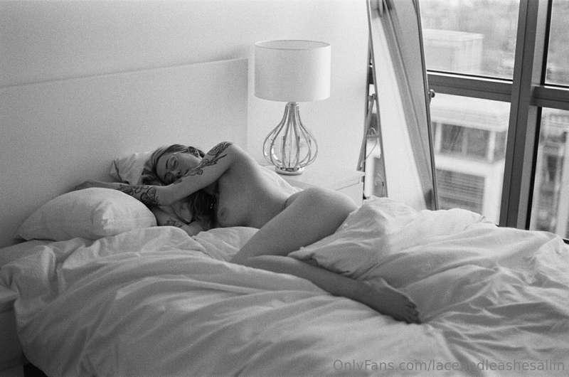 laceandleashesallin image #11