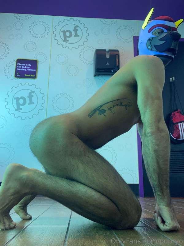 Puppy getting ready to tan. But also wants you to come get n..