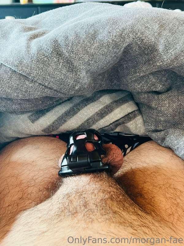 Sub is wanting out of his cage … live tmrw?