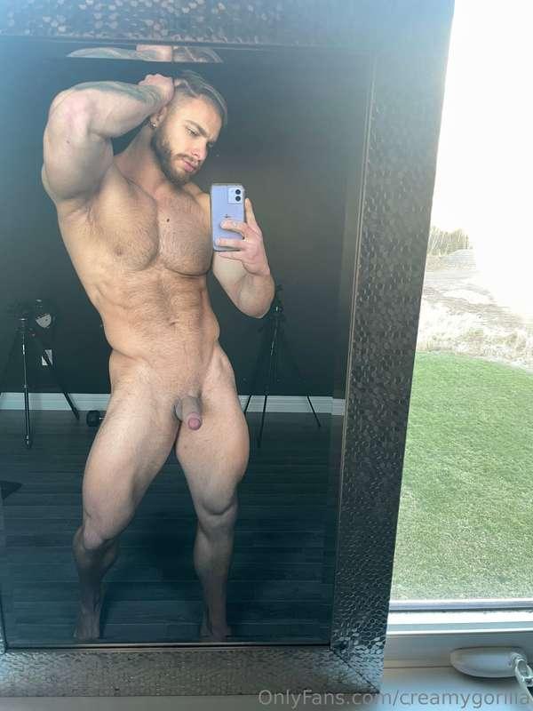 creamygorilla image #1