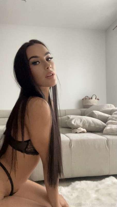 carlotta.bnk image #0