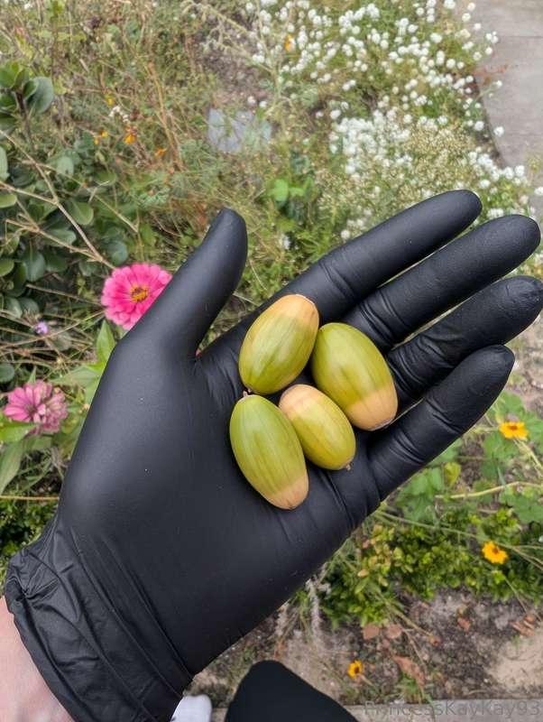 Wish I had different kinds of nuts to cup with my gloved han..