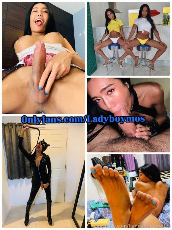 Go subscribe to @ladyboymos  
 🇹🇭 she has a lot of hot 

onl..