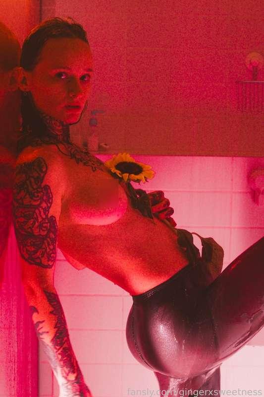 gingerxsweetness image #2