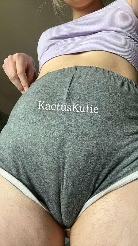 kactuskutie image #0