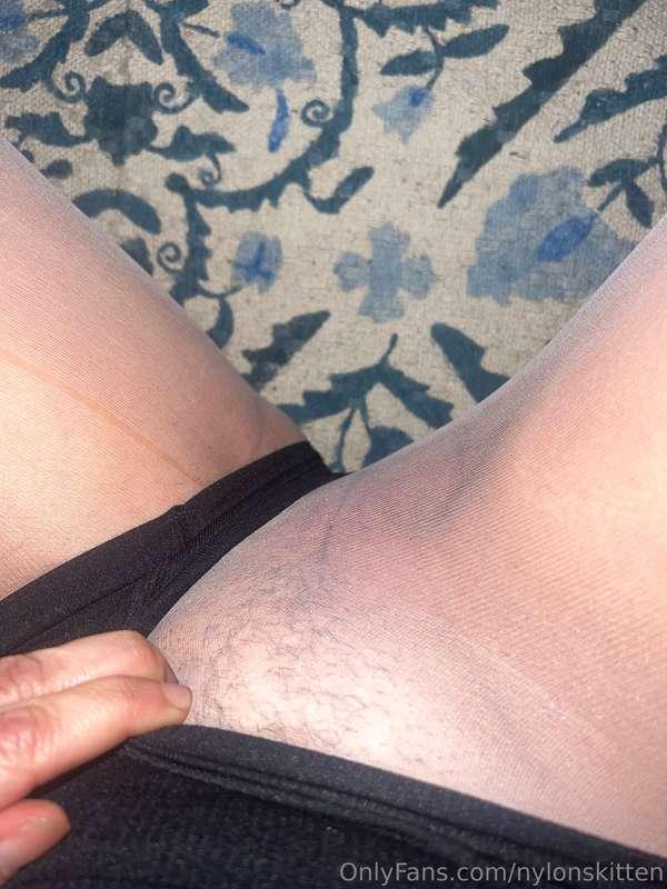 nylonskitten image #2