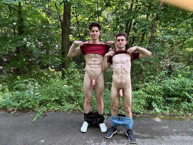 thestepbrothers image #2