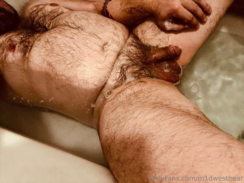 m1dwestbear image #15