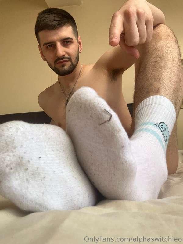 alphaswitchleo image #9