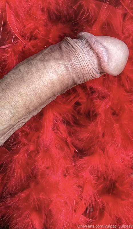 #539💥From the 1st of June I increase the price of my VIP pag..