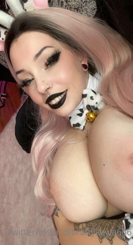 🐮🐮🐮