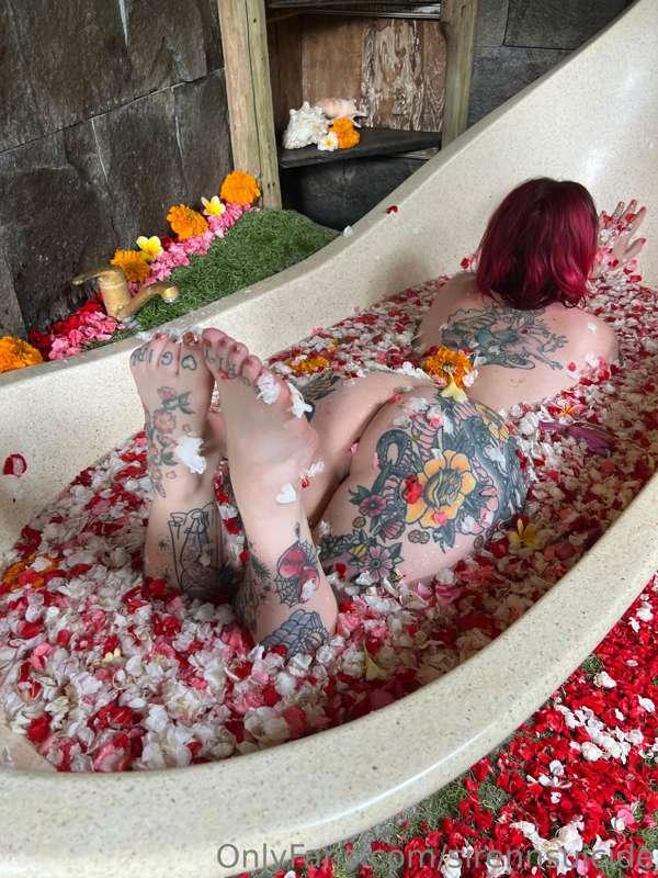 Pretty little pussy hiding in the petals 🌺