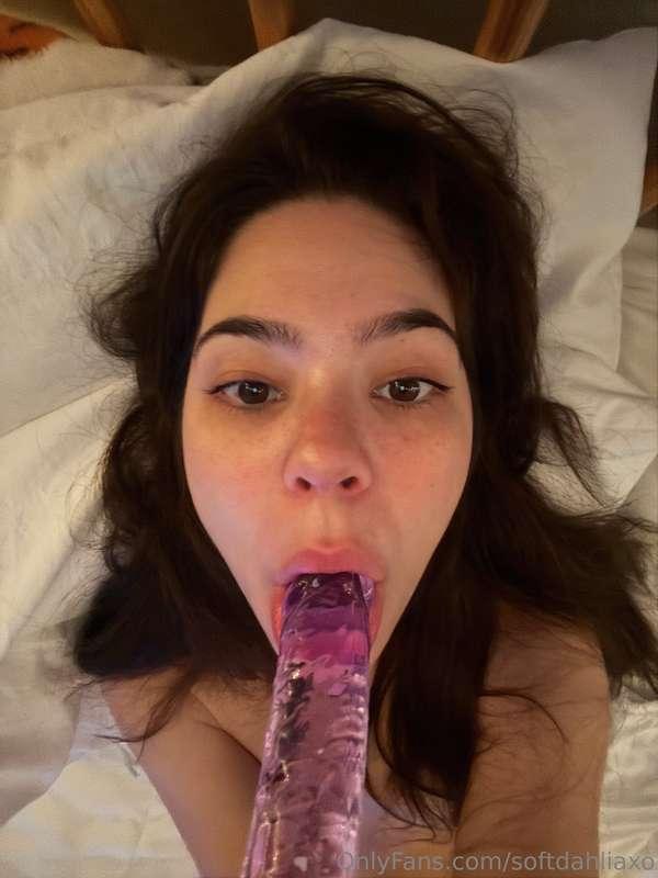 softdahliaxo image #0