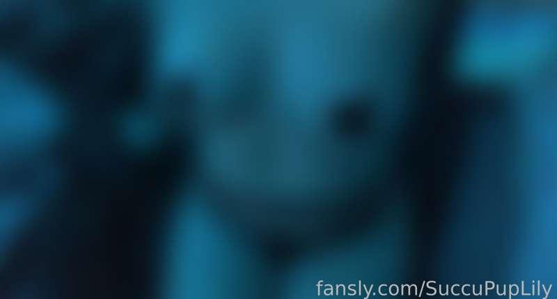 succupuplily image #0