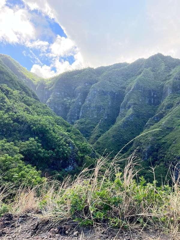 serenitydesirexo image #1