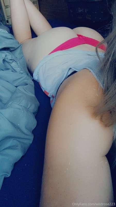 wildrose223 image #0