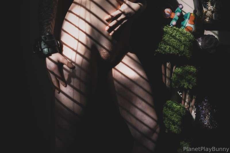 🖤🥀 Delightful Dusk 🥀🖤 

🥀 What’s your favorite aspect of thi..
