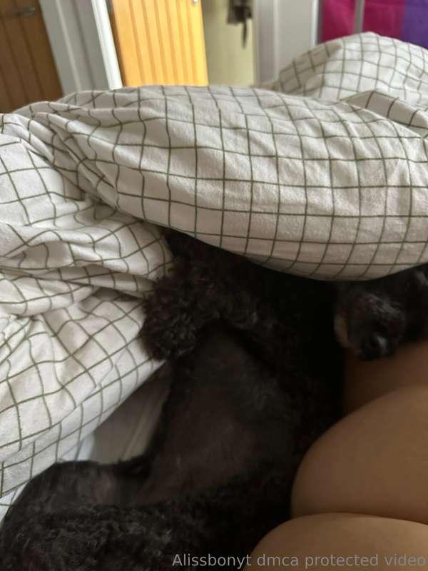 Waking up to a sweet dog in my bed >>>