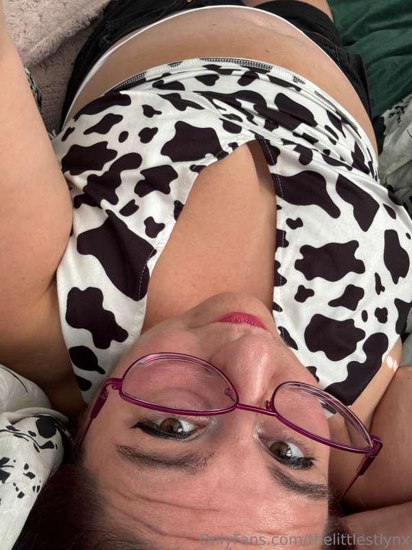 thelittlestlynx image #33