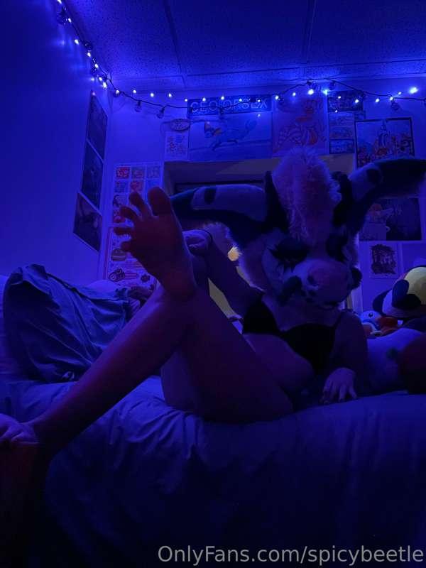 Playing around with my new lights. Care to entertain this li..