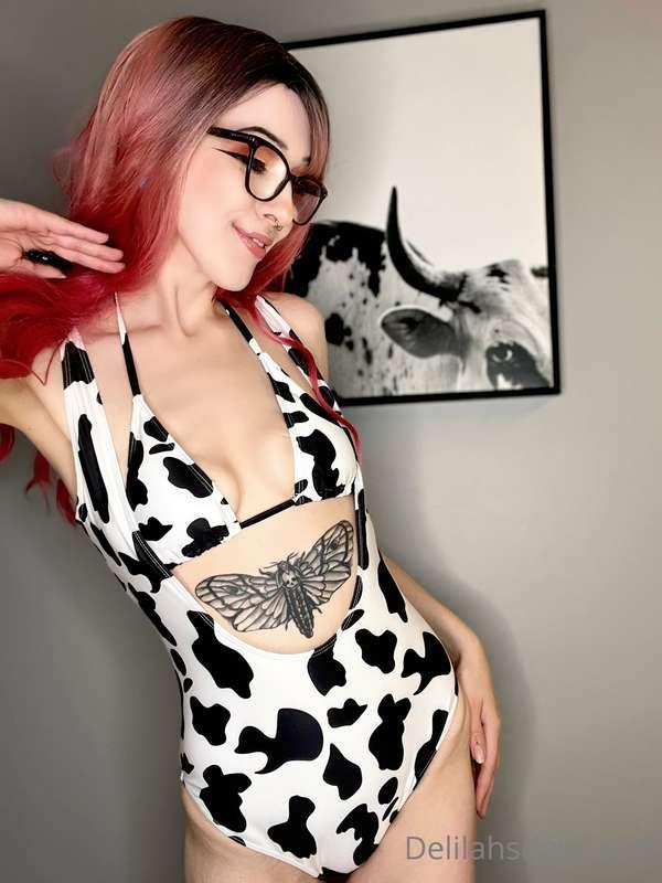 You get 1 chance to guess my favourite animal…👀🖤